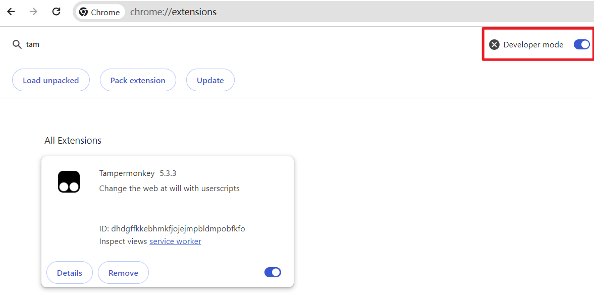 Developer Mode Instructions